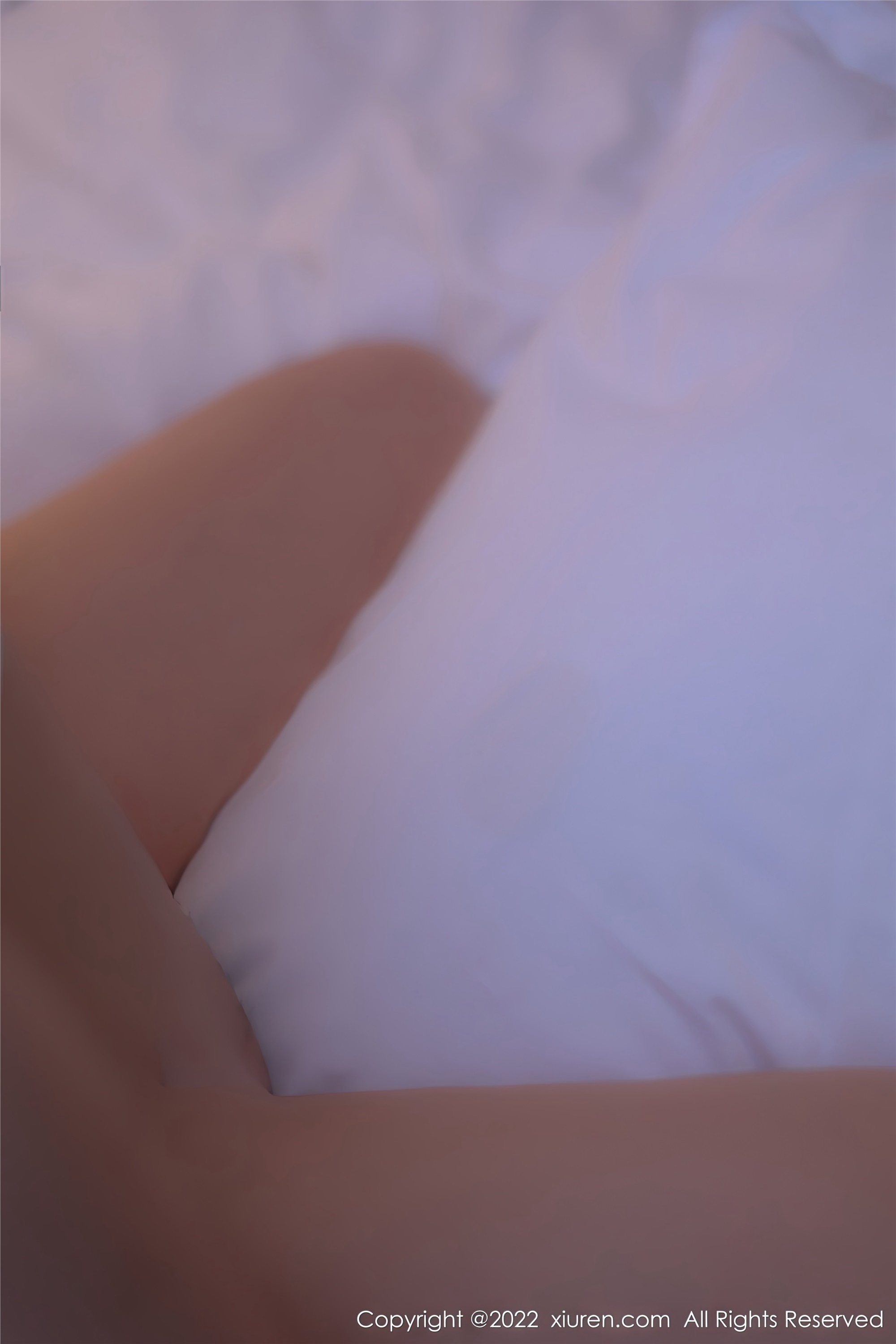 Xiuren秀人网 2022.12.09 NO.5975 美羊羊